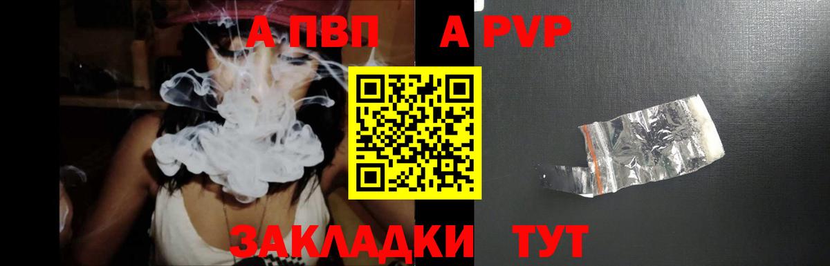 Alfa_PVP СК КРИС Балтийск