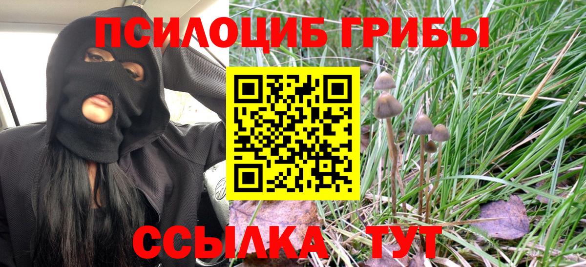 Псилоцибиновые грибы Magic Shrooms  Вход с VPN  Балтийск  Псилоцибиновые грибы Magic Shrooms 