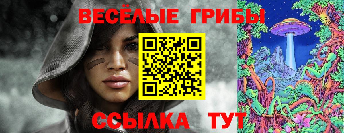 Псилоцибиновые грибы MAGIC MUSHROOMS Балтийск